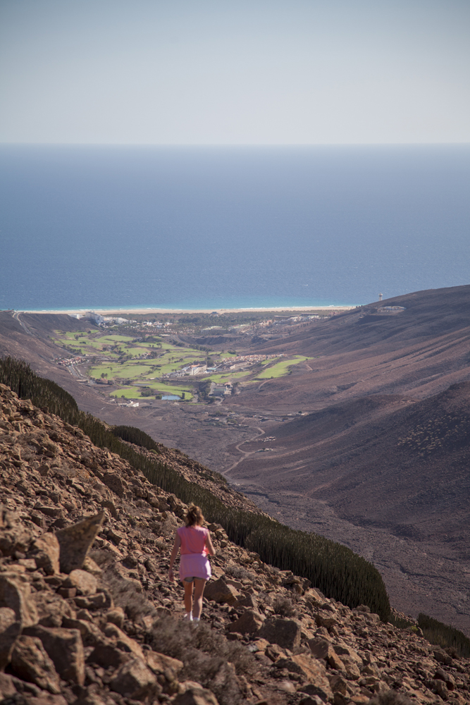 Fuerteventura Canary Islands 